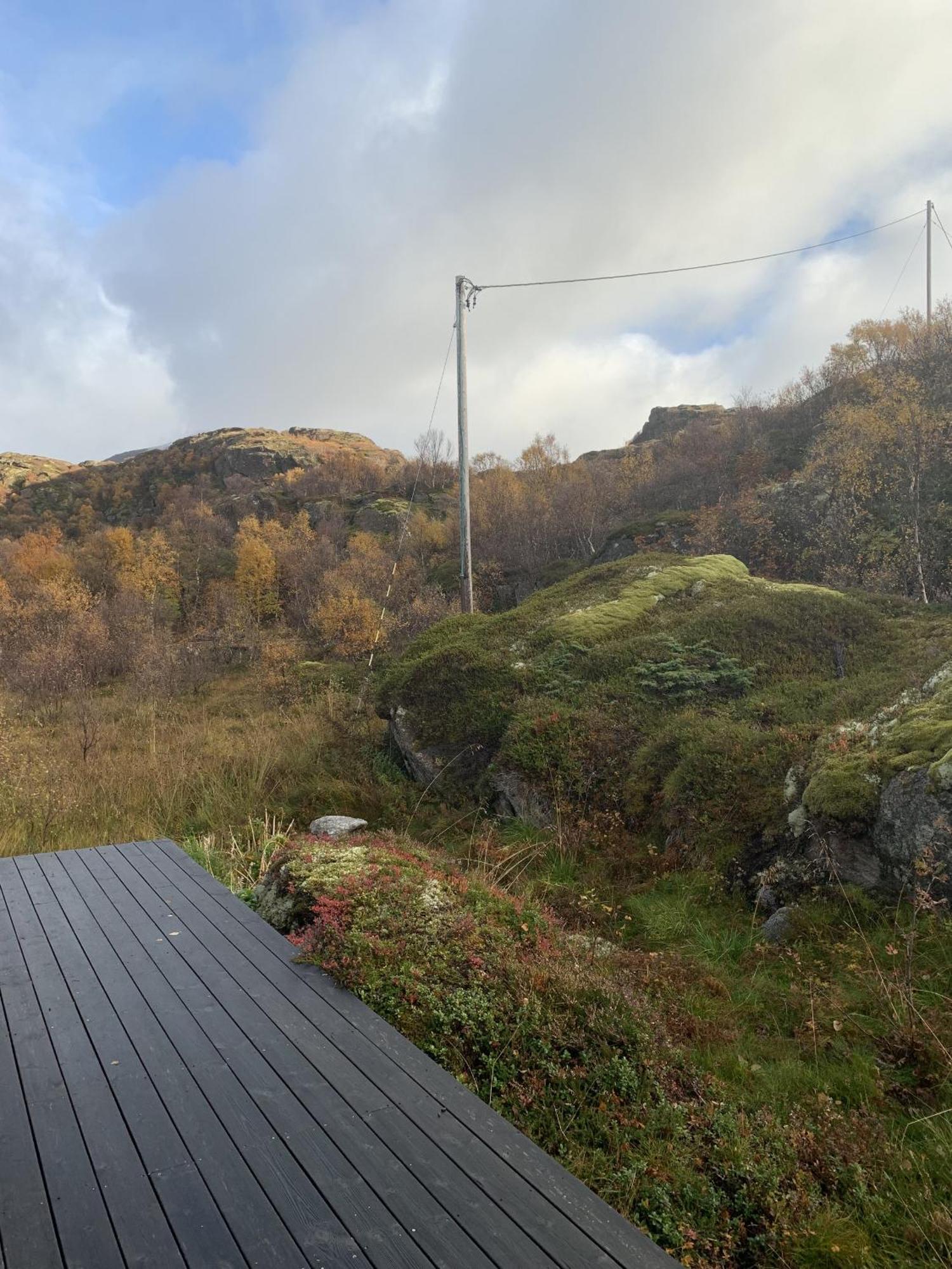 Unique Private In Lofoten Holiday home
