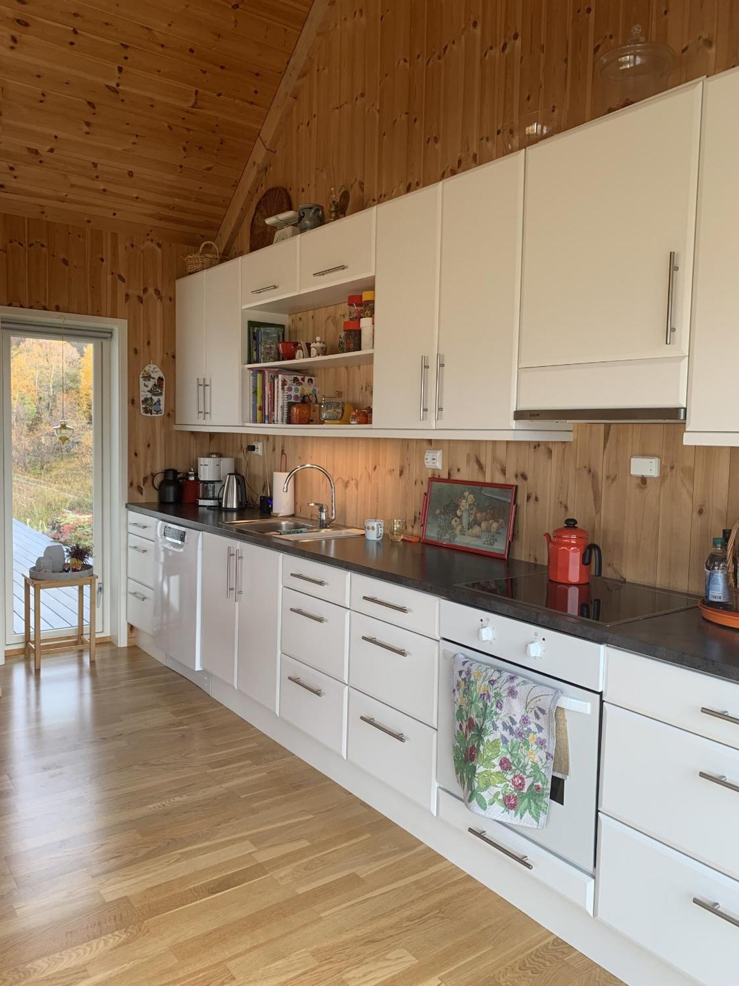 Unique Private In Lofoten Holiday home