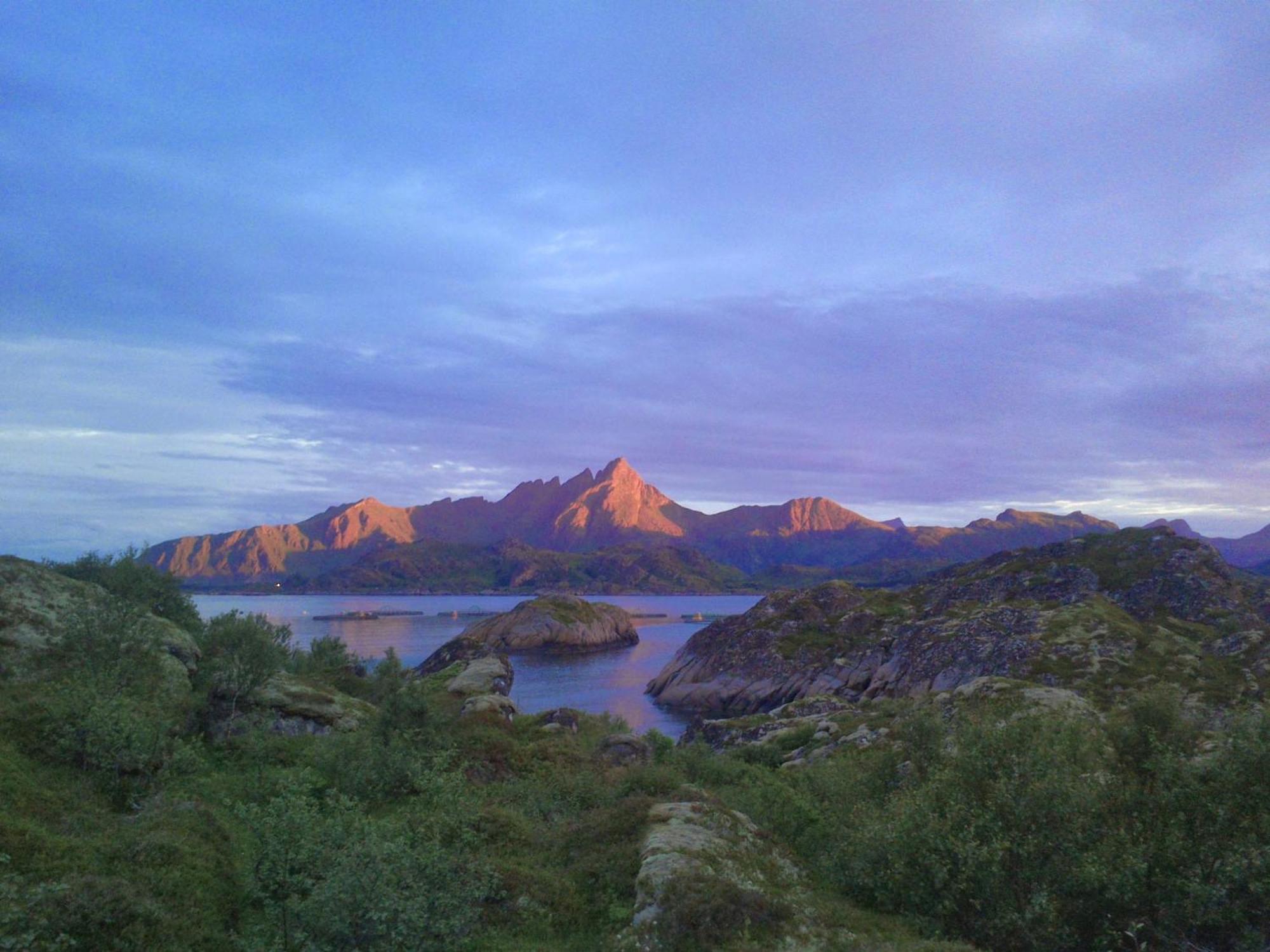Unique Private In Lofoten Holiday home Leknes