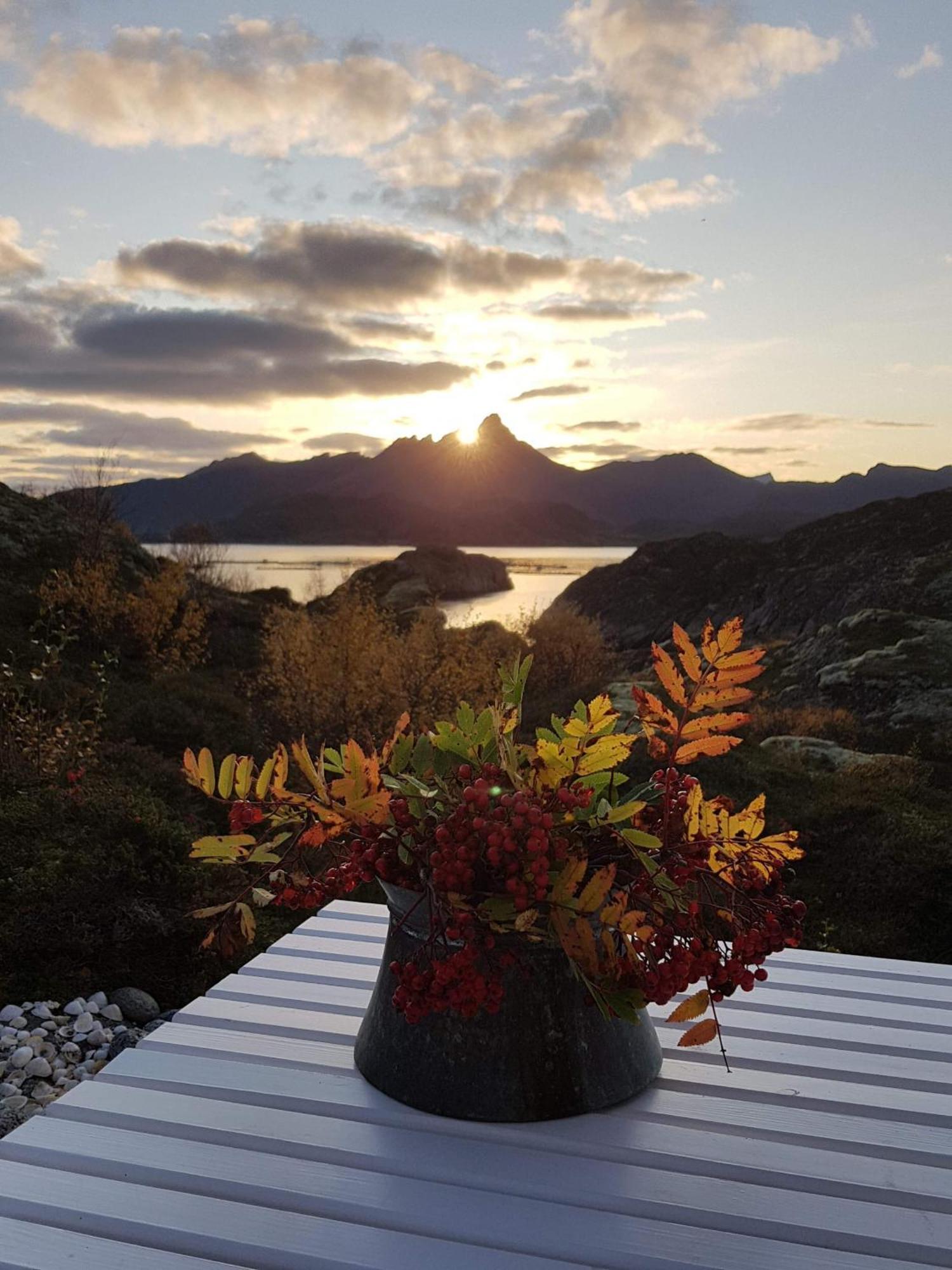 Unique Private In Lofoten