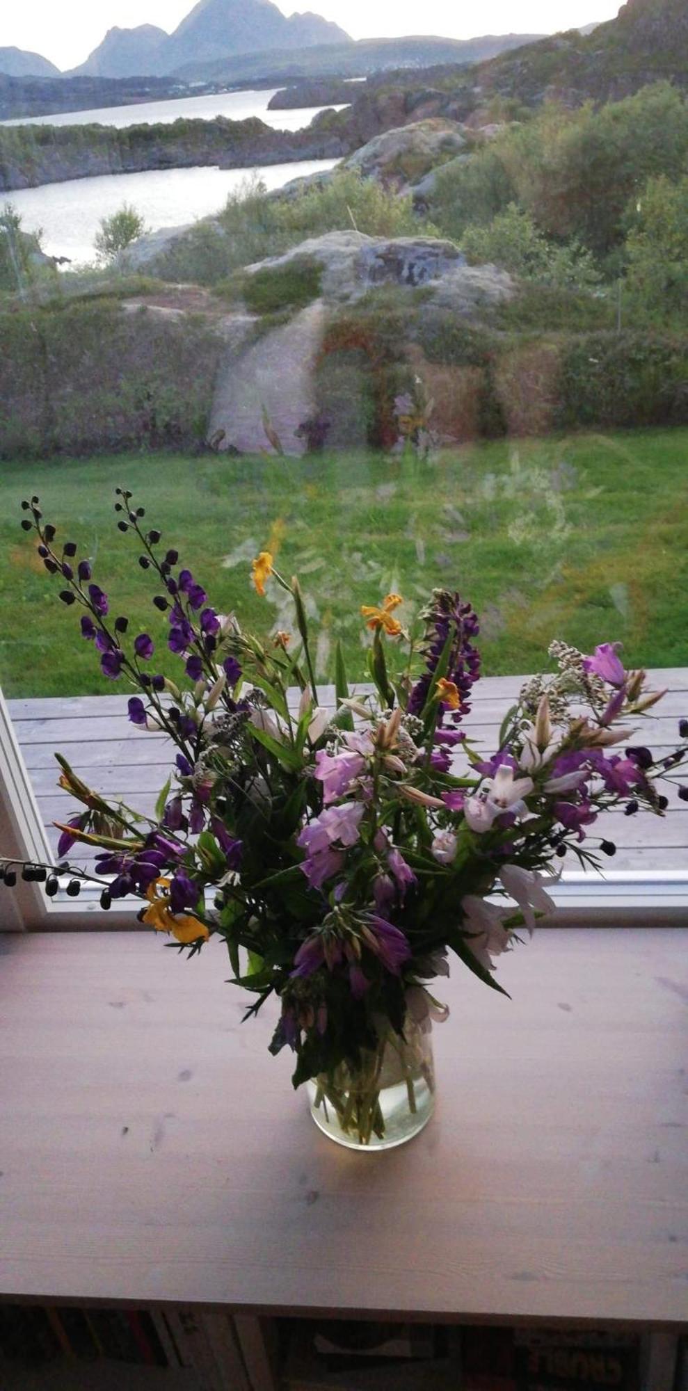 Unique Private In Lofoten Feriehus Leknes